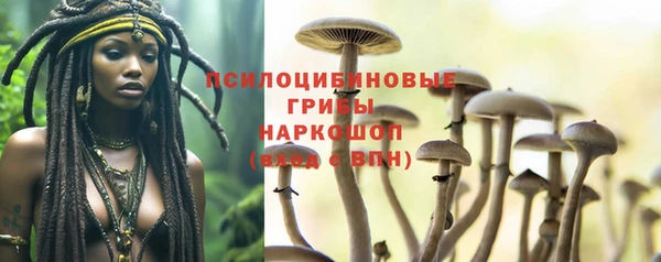 apvp Волосово