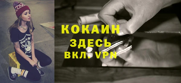 дживик Волоколамск