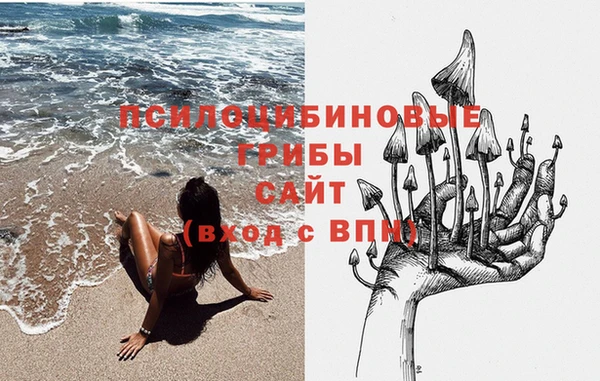 дживик Волоколамск