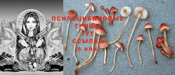 apvp Волосово