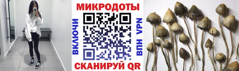 Псилоцибиновые грибы Psilocybine cubensis  МЕГА как зайти  Шадринск 